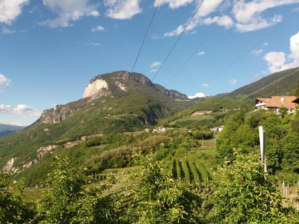 B&B Klammhof Panorama サロルノ エクステリア 写真